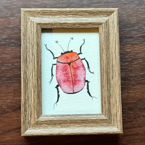 sarastarstuff Other - Art Watercolor and Ink Beetle Framed Handmade